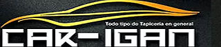 Car-Igan Tapicería de coches Tarragona